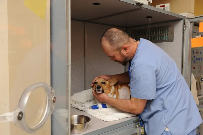 Las Vegas Veterinary Specialty Center 7