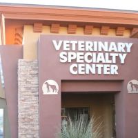 Las Vegas Veterinary Specialty Center ico
