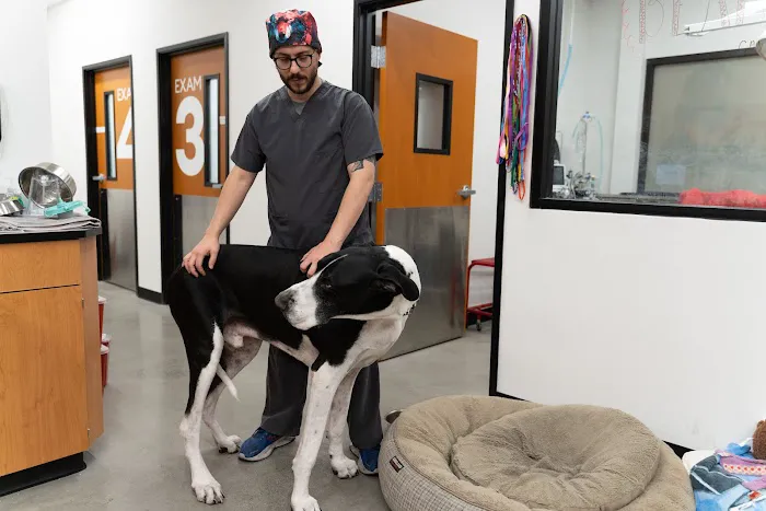 PetSmart Veterinary Services - W Las Vegas (Ft Apache) 12