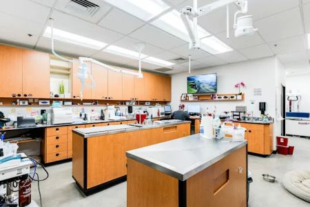 PetSmart Veterinary Services - W Las Vegas (Ft Apache)