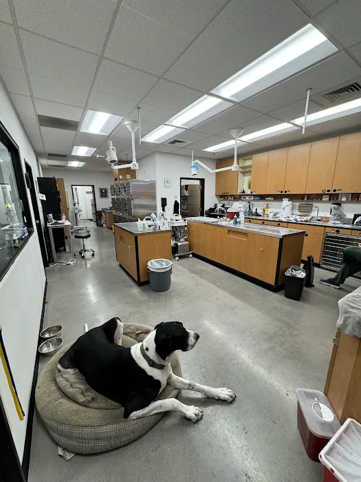 PetSmart Veterinary Services - W Las Vegas (Ft Apache) 12