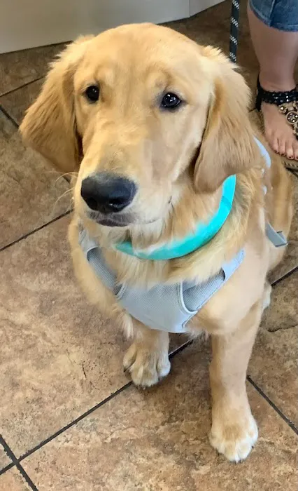 Companion Animal Hospital 12