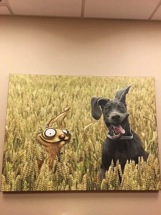 West Russell Animal Hospital 9