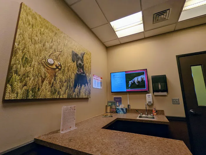 West Russell Animal Hospital 8