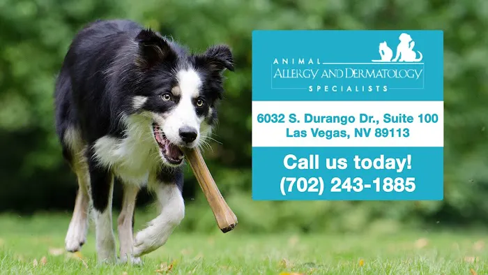 Animal Allergy & Dermatology Specialists 1