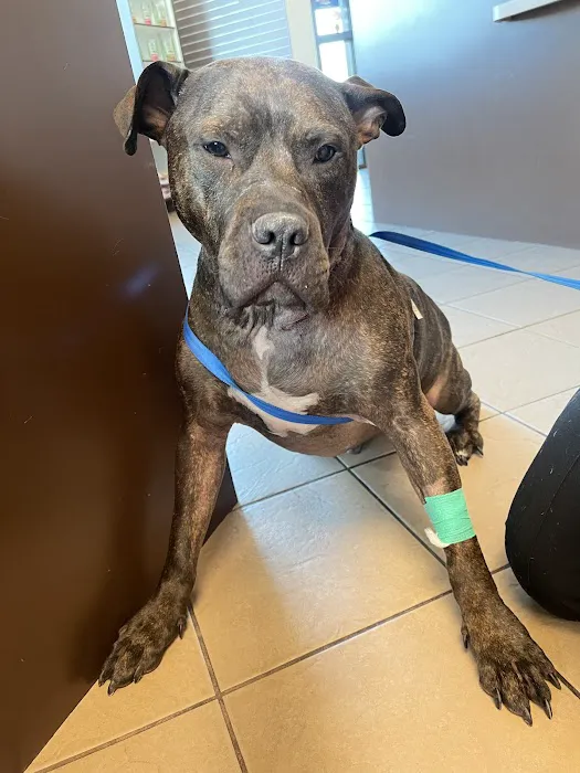 Durango Animal Hospital 4