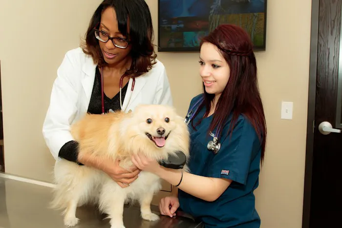 Durango Animal Hospital 2