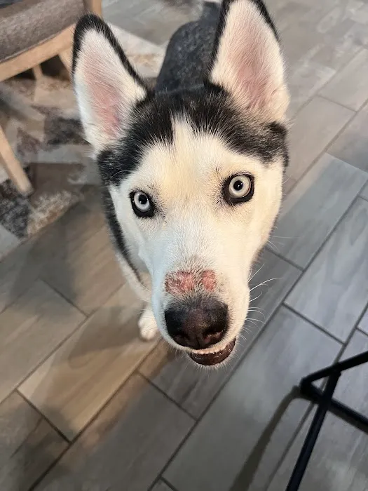 Durango Animal Hospital 3