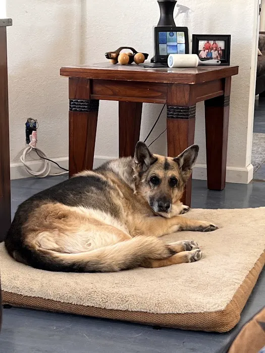 Durango Animal Hospital 6