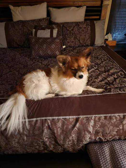 Siena Animal Hospital 1