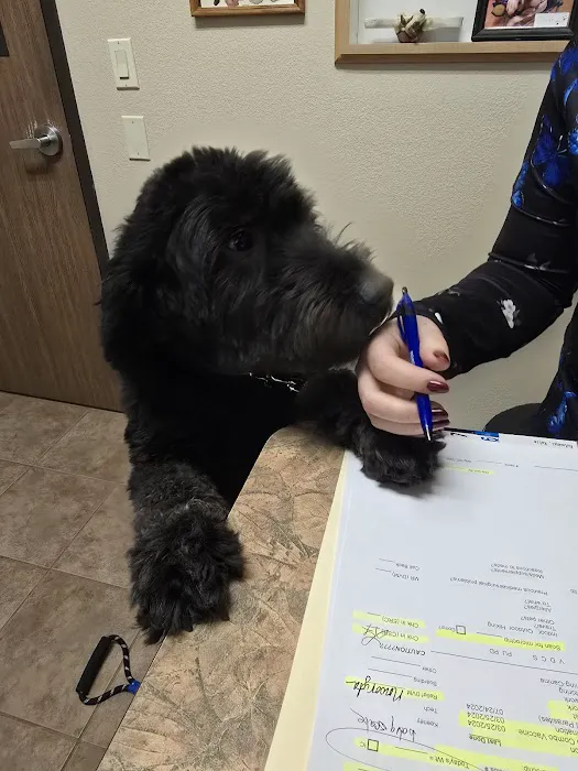 Siena Animal Hospital 2