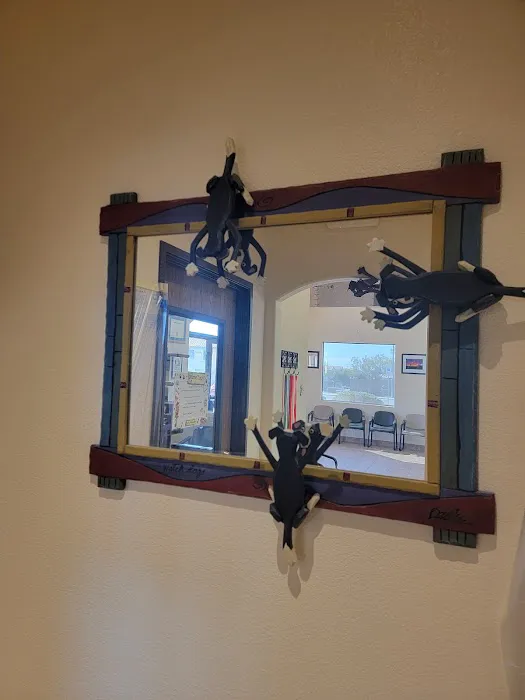 Siena Animal Hospital 8
