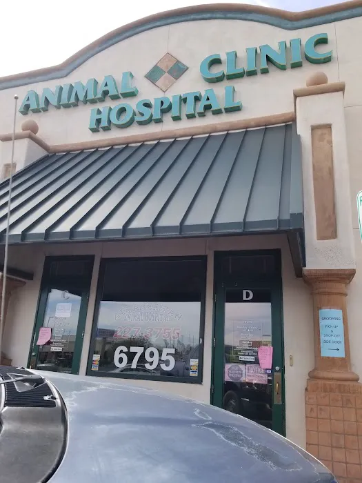 All American Animal Hospital 3