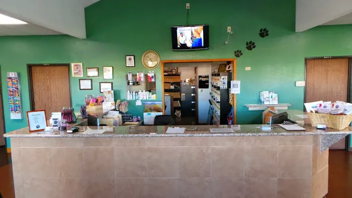 All American Animal Hospital 2