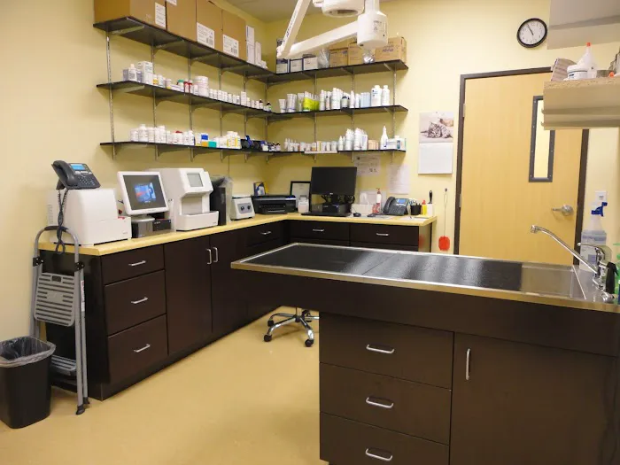 Southern Hills Animal Hospital 2