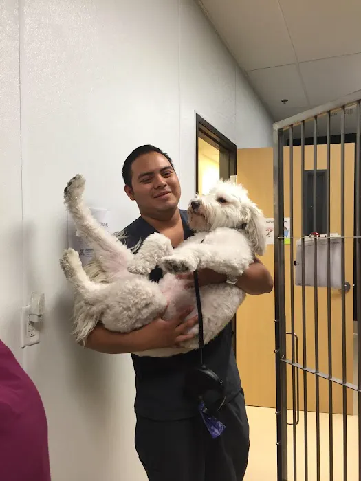 Southern Hills Animal Hospital 1