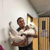 Southern Hills Animal Hospital ico
