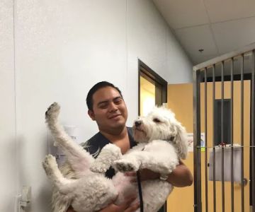 Southern Hills Animal Hospital