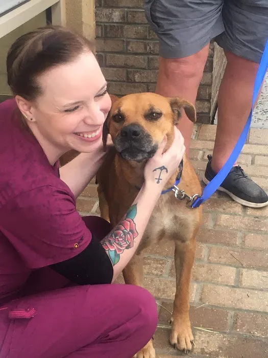 Jax Vets Affordable Animal Hospital at Baymeadows 12
