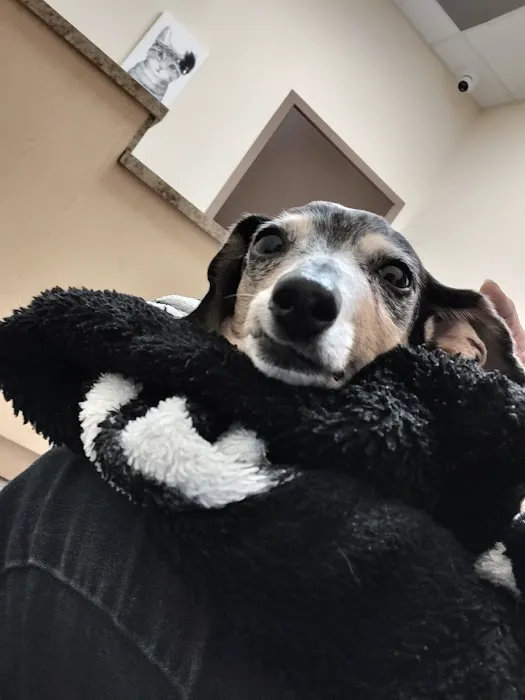 Pet Urgent Response and Emergency 12