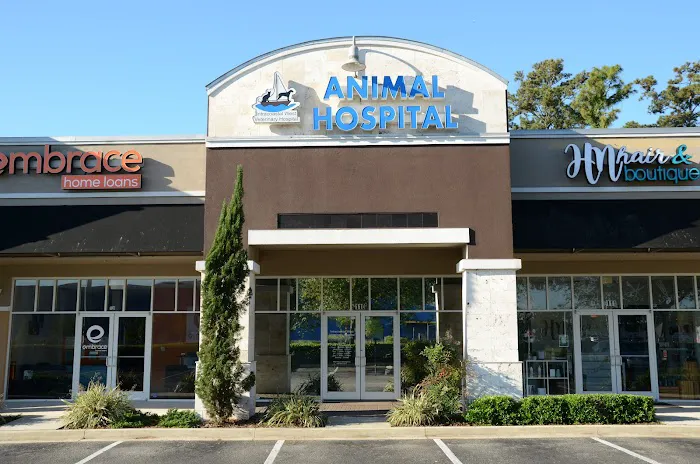 Intracoastal West Veterinary Hospital 12