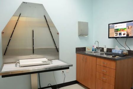 Intracoastal West Veterinary Hospital
