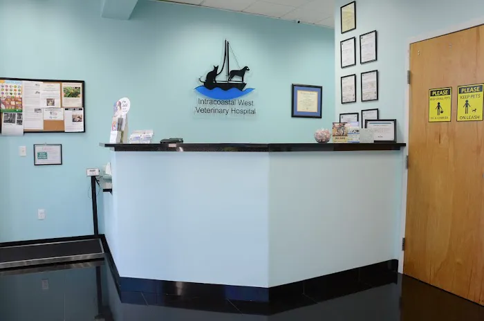 Intracoastal West Veterinary Hospital 12