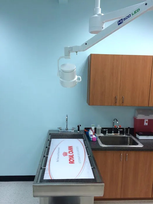 Intracoastal West Veterinary Hospital 12
