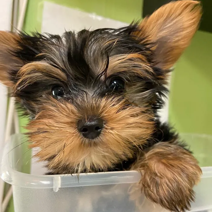 Deerwood Animal Clinic 12