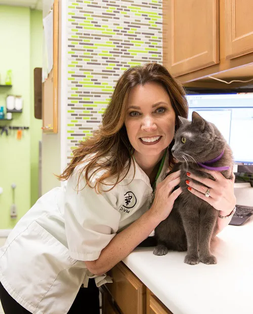 Deerwood Animal Clinic 12