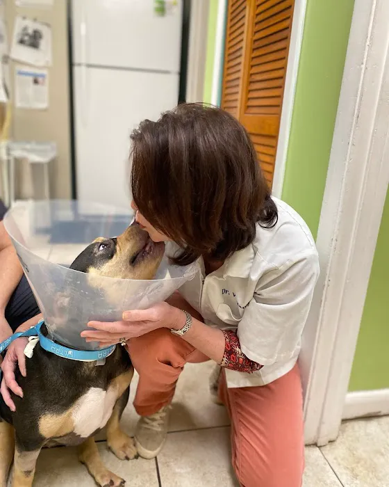 Deerwood Animal Clinic 12