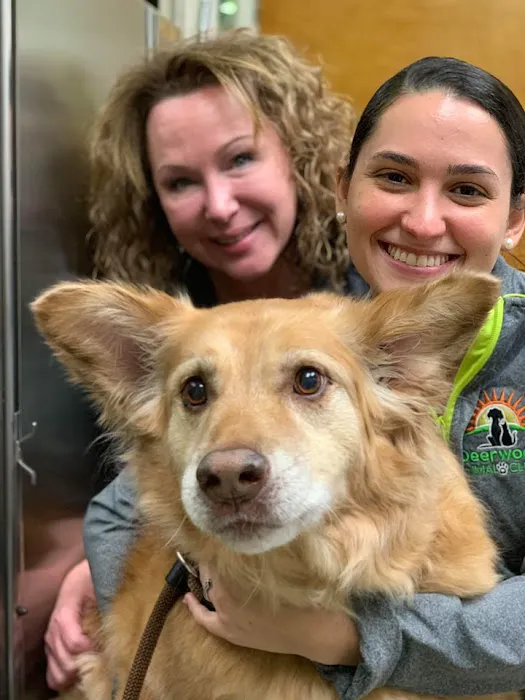 Deerwood Animal Clinic 12