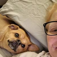 Deerwood Animal Clinic: William Rebecca DVM ico