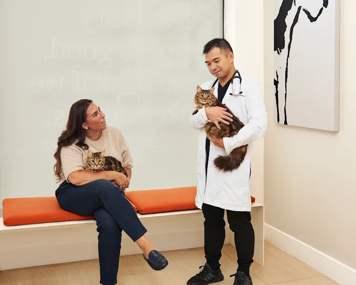 Small Door Veterinary - Williamsburg 12