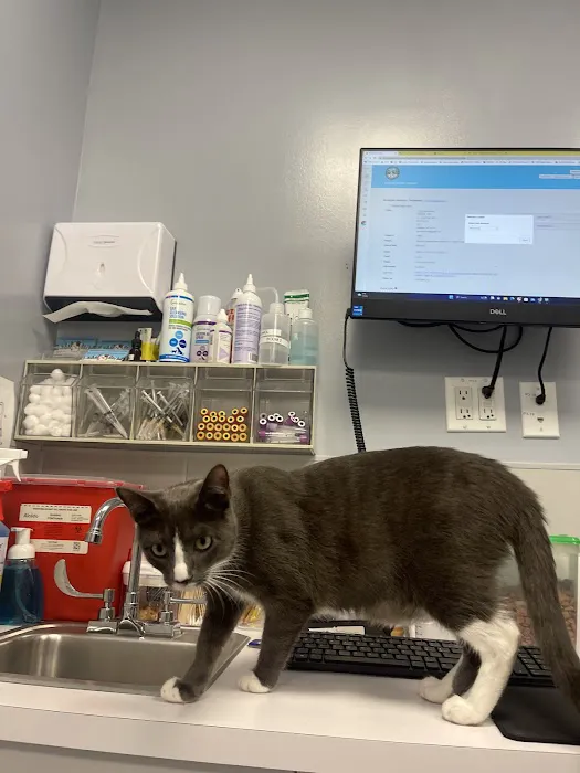 Williamsburg Veterinary Clinic 3