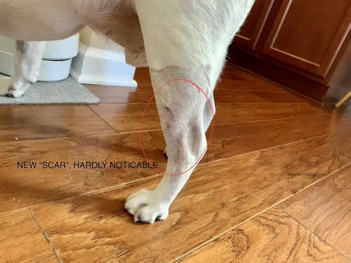 Northside Veterinary Clinic 3