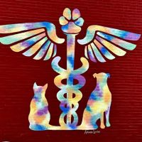 Northside Veterinary Clinic ico