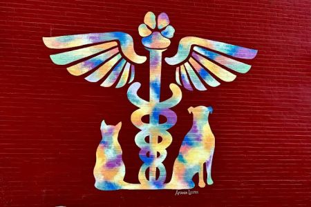 Northside Veterinary Clinic