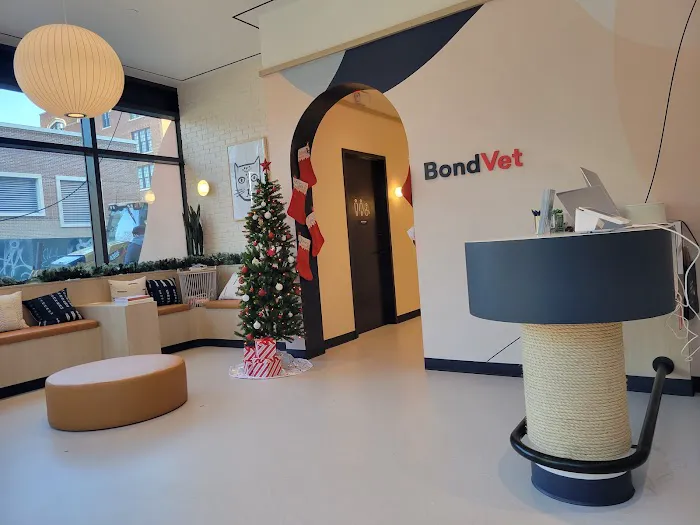 Bond Vet - Williamsburg 8