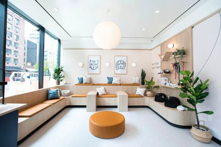 Bond Vet - Williamsburg