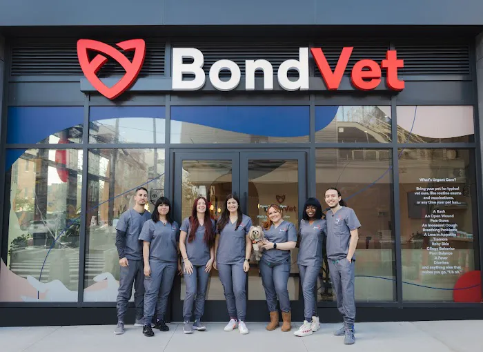 Bond Vet - Williamsburg 6