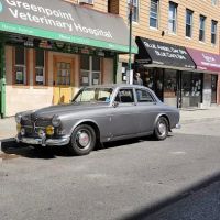 Greenpoint Veterinary Hospital ico