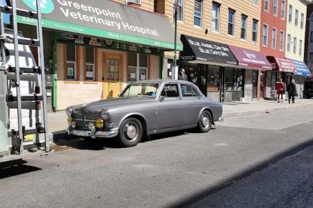 Greenpoint Veterinary Hospital