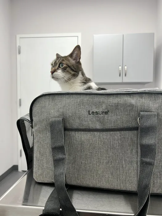 Greenpoint Veterinary Care 7