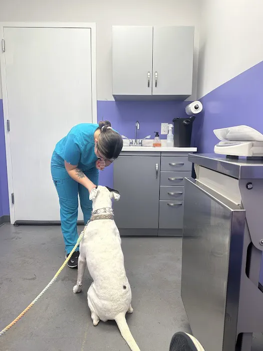 Greenpoint Veterinary Care 6