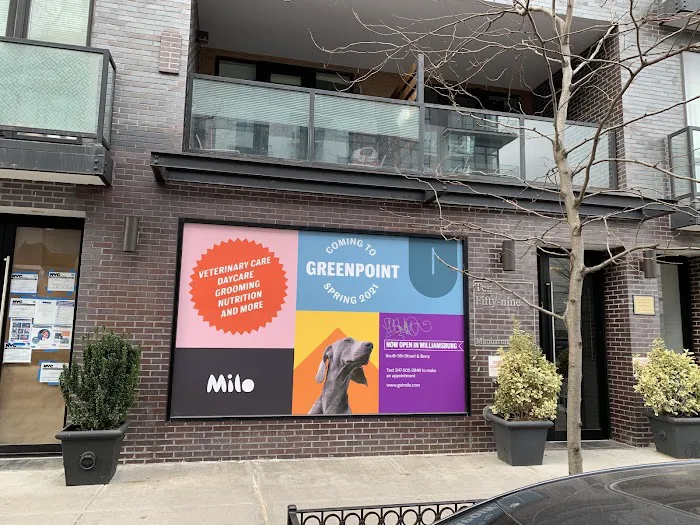 Veterinary Care Group - Greenpoint 4