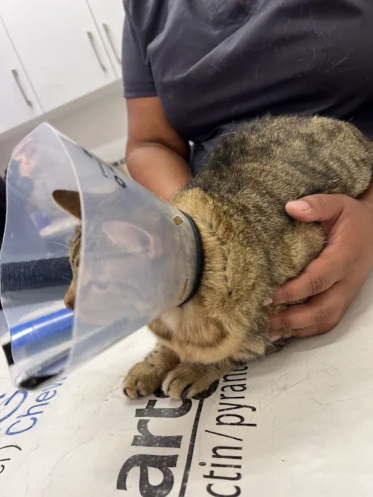 Veterinary Care Group - Greenpoint 3