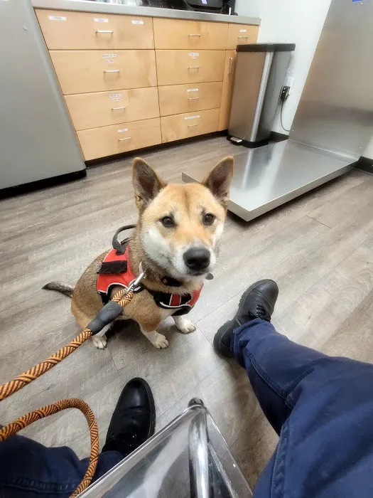 Williamsburg Animal Clinic 12