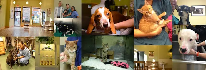 ABC Animal Hospital 12