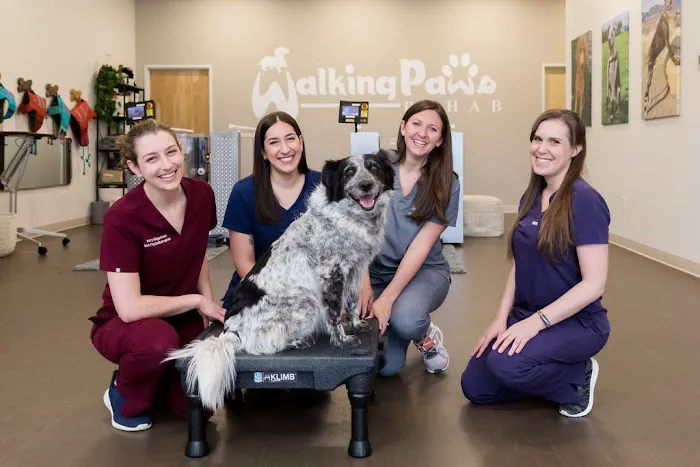 Walking Paws Rehab 2